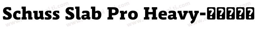 Schuss Slab Pro Heavy字体转换
